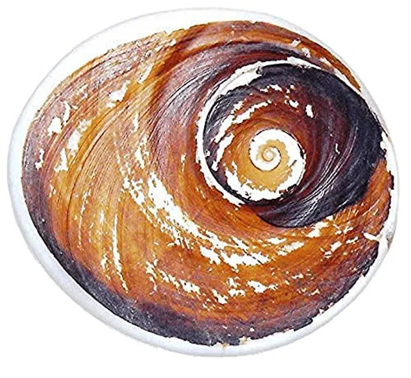 Big_Size_Gomti_Chakra_1_Pcs_51Mm_To_65Mm_Big_Size_Gomti_Chakra_Export_Quality