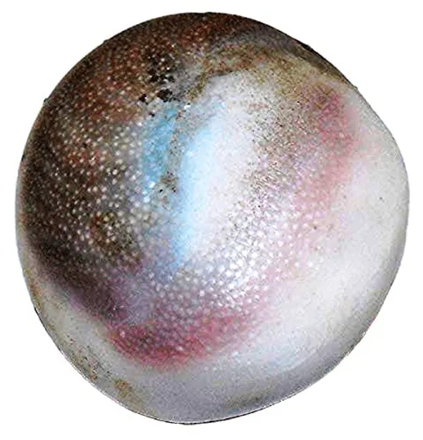 Big_Size_Gomti_Chakra_1_Pcs_51Mm_To_65Mm_Big_Size_Gomti_Chakra_Export_Quality