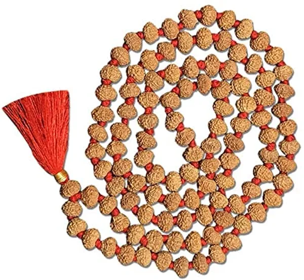 10_Mukhi_Rudraksha_Mala_Certified_Energized_10_Ten_Face_Rudraksha_Mala_108_1_109_Beads_Rudraksha_Mala_10_Mukhi_Rudraksha_Mala