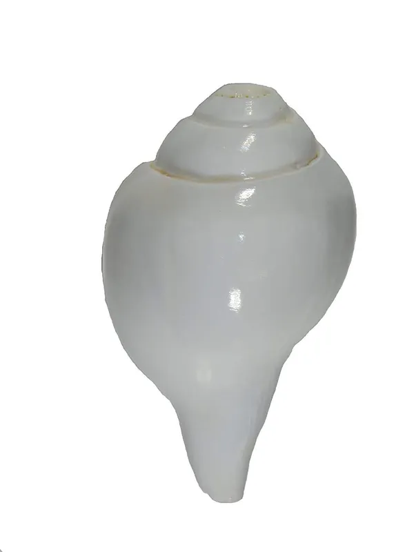 Combo_Set_Of_3Pcs_Sound_Making_Shankh_Shankha_A_Grade_Shankh_White_Blowing_Conch_Bajne_Wala_Shankh_3_Pcs_Set