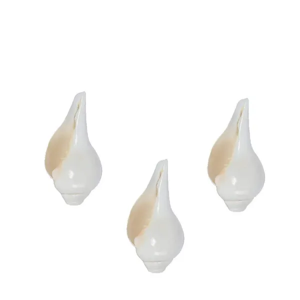 Combo_Set_Of_3Pcs_Sound_Making_Shankh_Shankha_A_Grade_Shankh_White_Blowing_Conch_Bajne_Wala_Shankh_3_Pcs_Set