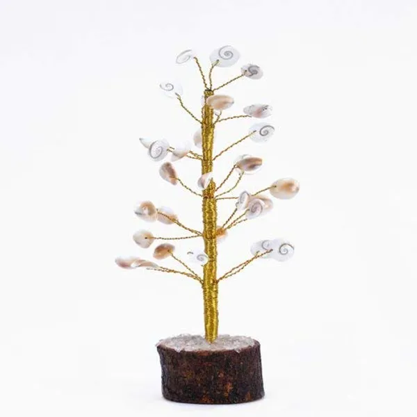 31_Gomti_Chakra_Tree_Energized_Gomti_Chakra_Tree_Gomti_Chakra_Kalpavruksh_31_Energized_Gomti_Chakra_Tree_Gomti_Chakra_Gem_Tree