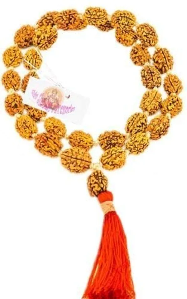3_Mukhi_Rudraksha_Mala_36_1Beads