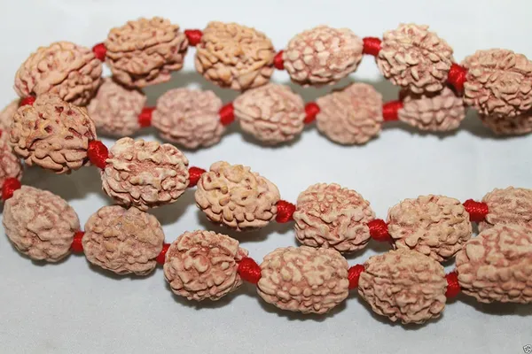 3_Mukhi_Rudraksha_Mala_36_1Beads