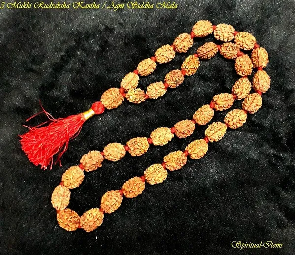 3_Mukhi_Rudraksha_Mala_36_1Beads
