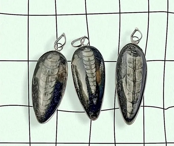 Rupali_Crystals_Natural_Orthoceras_Fossil_Pendant_Kuber_Stone_Pendant_For_Men_And_Women_Natural_Kuber_Crystal_Locket_Reiki_Energy_Orthoceras_Finance_Pendant