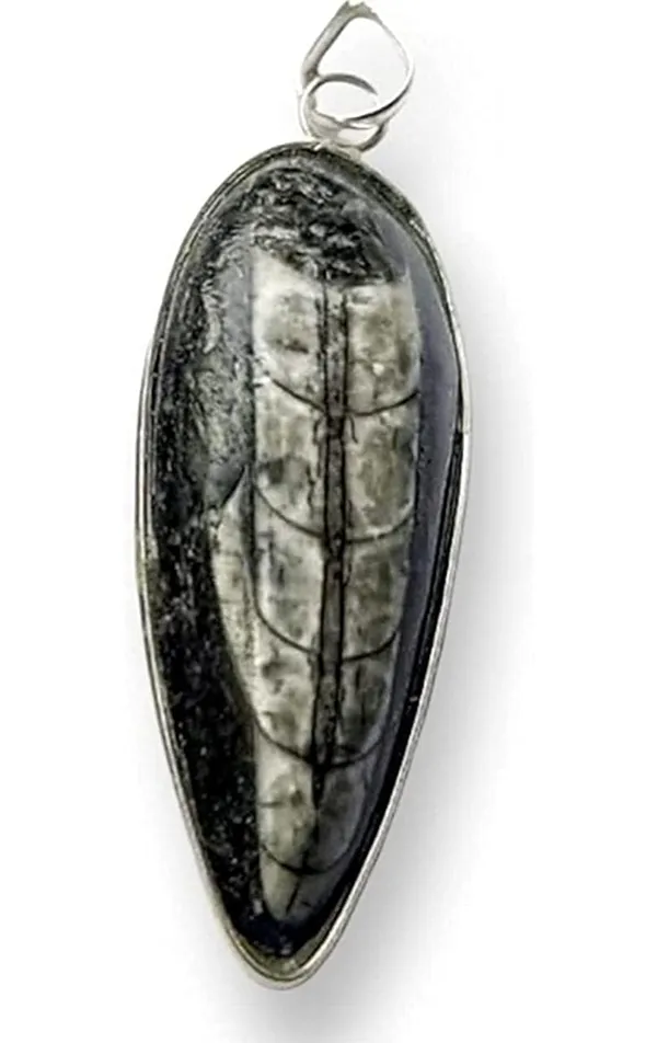 Rupali_Crystals_Natural_Orthoceras_Fossil_Pendant_Kuber_Stone_Pendant_For_Men_And_Women_Natural_Kuber_Crystal_Locket_Reiki_Energy_Orthoceras_Finance_Pendant