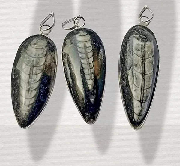 Rupali_Crystals_Natural_Orthoceras_Fossil_Pendant_Kuber_Stone_Pendant_For_Men_And_Women_Natural_Kuber_Crystal_Locket_Reiki_Energy_Orthoceras_Finance_Pendant
