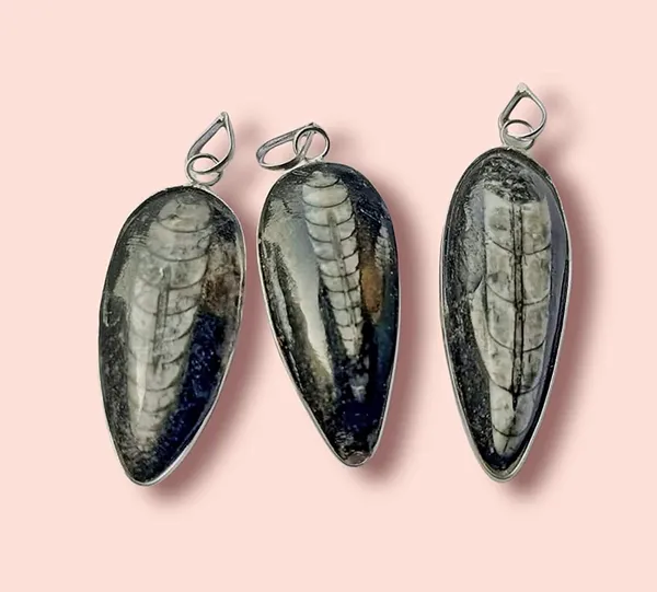Rupali_Crystals_Natural_Orthoceras_Fossil_Pendant_Kuber_Stone_Pendant_For_Men_And_Women_Natural_Kuber_Crystal_Locket_Reiki_Energy_Orthoceras_Finance_Pendant