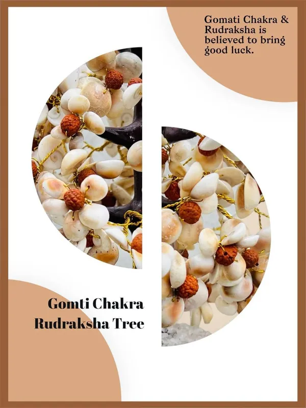 Gomti_Chakra_Tree_600_Beads_Gomti_Chakra_Rudraksha_Tree