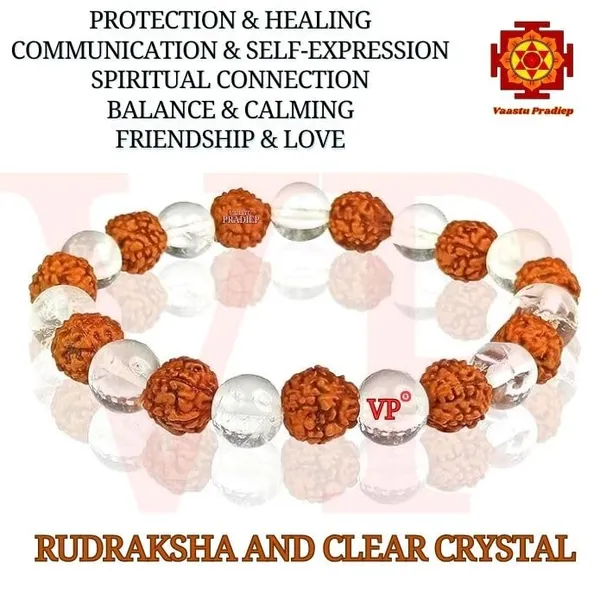 Natural_Rudraksha_With_Clear_Quartz_Sphatik_Bracelet_Diamond_Cut_10Mm_Beads_Charged_By_Reiki_Grand_Master_Vastu_Expert
