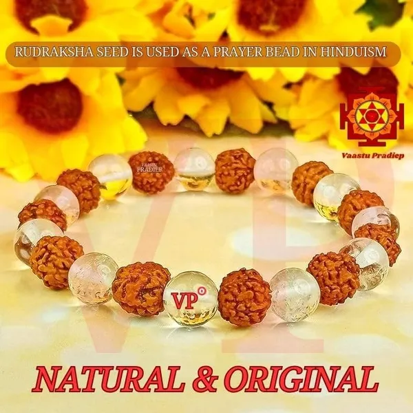 Natural_Rudraksha_With_Clear_Quartz_Sphatik_Bracelet_Diamond_Cut_10Mm_Beads_Charged_By_Reiki_Grand_Master_Vastu_Expert