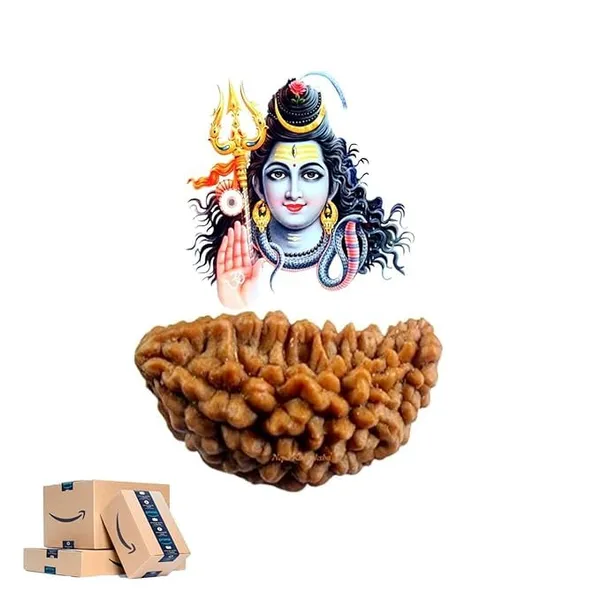Natural_Certified_1_Mukhi_Rudraksha