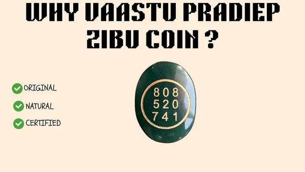 Product_Summary_Vaastu_Pradiep_Certified_Green_Zibu_Coin_Attracts_Money_Luck_Increase_Opportunity_Of_Career_Business_Energized_By_Reiki_Healer_And_Vastu_Expert