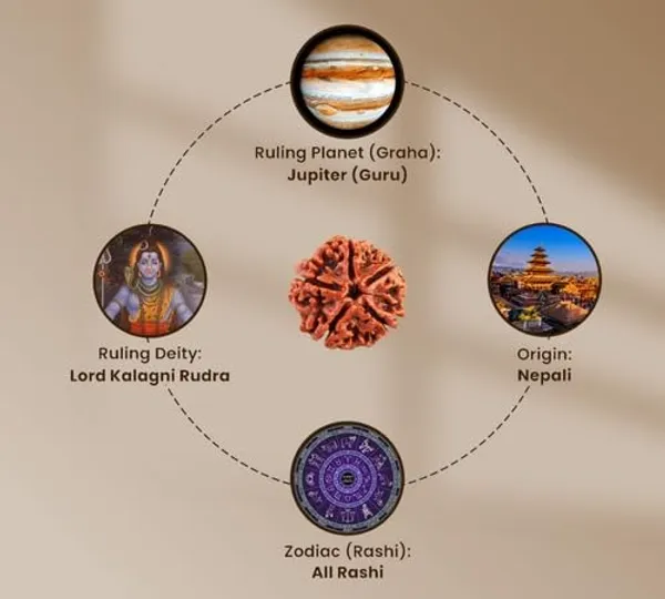 5_Mukhi_Rudraksha_Original_Certified_Bead_Natural_Nepal_Bead_Helps_To_Improve_Self_Confidence_Spiritual_Growth_Negative_Energies_For_Men_Women_Use_For_Meditation_And_Prayer_Protection_Chakra_Balancing_Spiritual_Growth