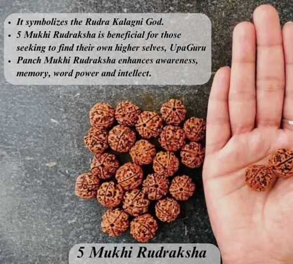 5_Mukhi_Rudraksha_Original_Certified_Bead_Natural_Nepal_Bead_Helps_To_Improve_Self_Confidence_Spiritual_Growth_Negative_Energies_For_Men_Women_Use_For_Meditation_And_Prayer_Protection_Chakra_Balancing_Spiritual_Growth