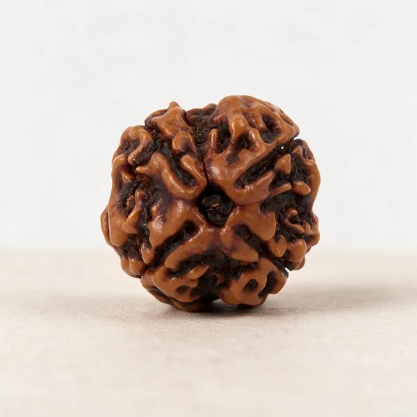 Mantra_Siddha_Natural_4_Mukhi_Nepali_Rudraksha_Brown