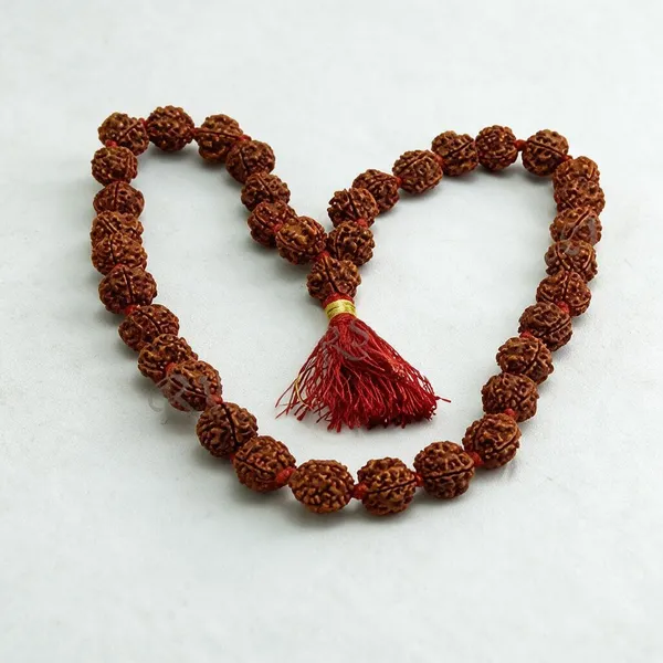 Certified_4_Mukhi_Face_Rudraksha_Kantha_Mala_32_1_Nepal_Beads_18_20_Mm