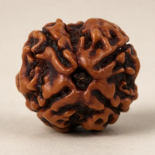 Mantra_Siddha_Natural_4_Mukhi_Nepali_Rudraksha_Brown