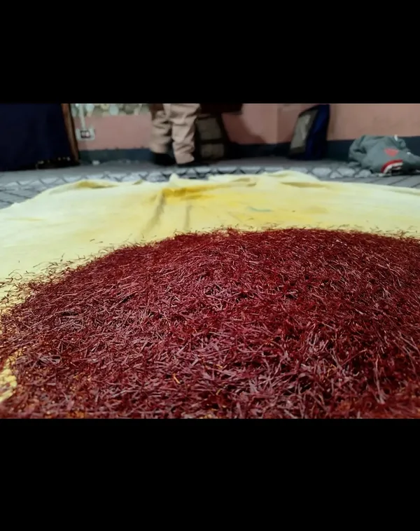 Saffron_Threads_Spice