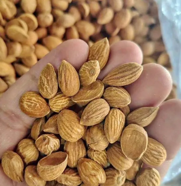 Whole_Almonds