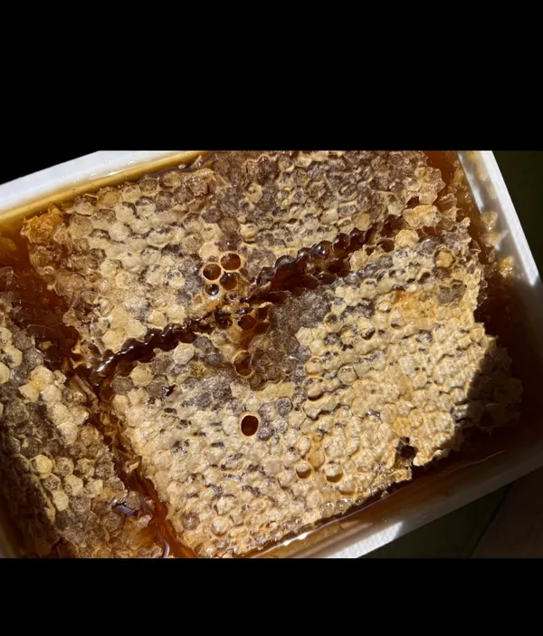 Healthymim_Pure_And_Organic_Honey