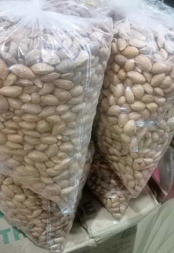 Raw_In-Shell_Almonds