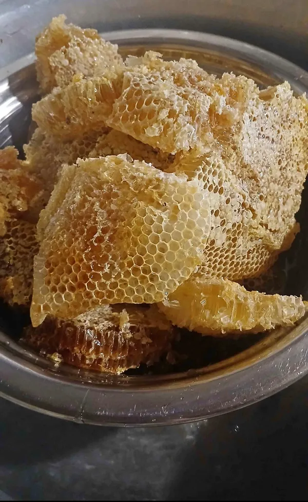 Healthymim_Pure_And_Organic_Honey