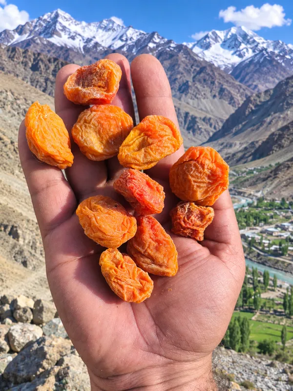 Healthymin_Ladakhi_Dried_Apricots