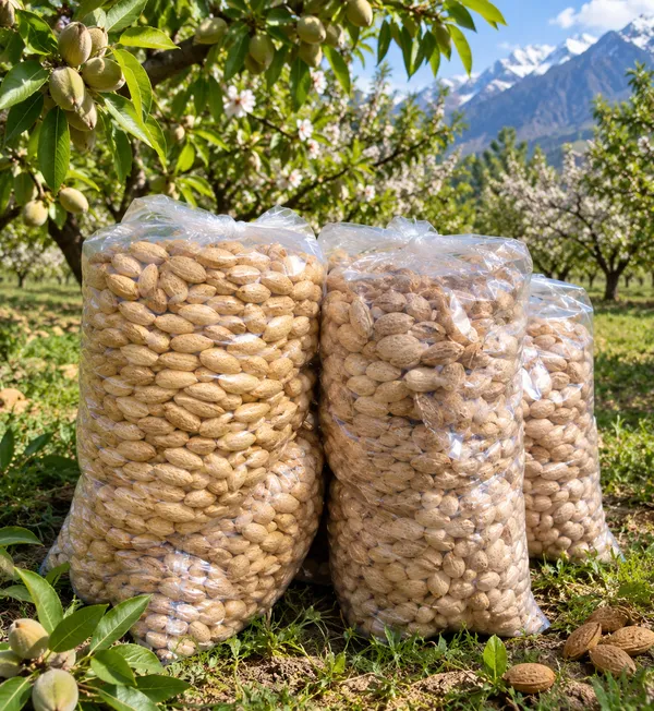 Raw_In-Shell_Almonds