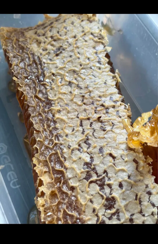 Healthymim_Pure_And_Organic_Honey