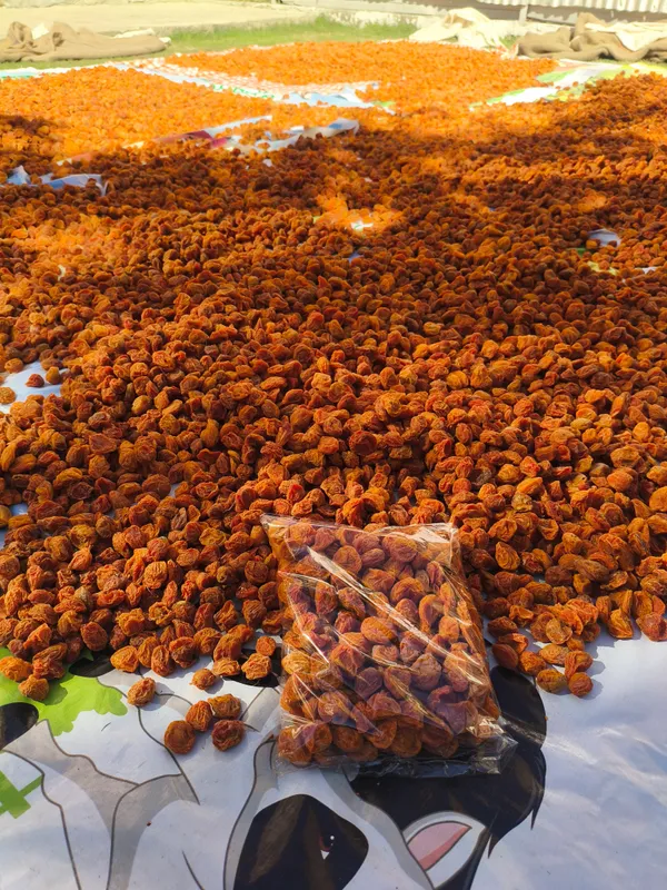 Healthymin_Ladakhi_Dried_Apricots