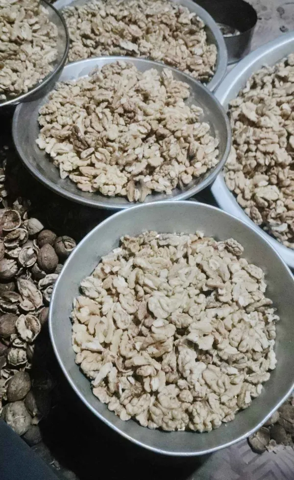 Walnut_Kernels