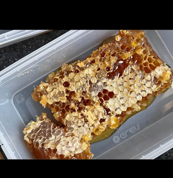 Healthymim_Pure_And_Organic_Honey