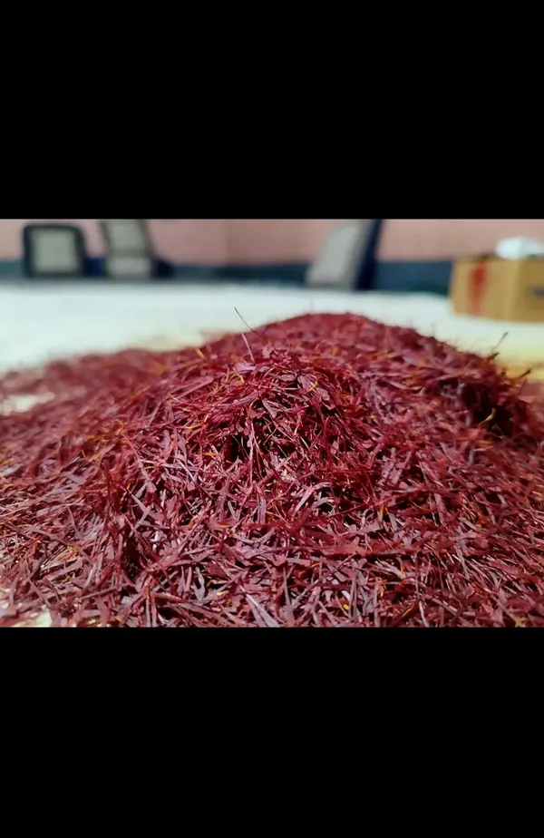 Saffron_Threads_Spice