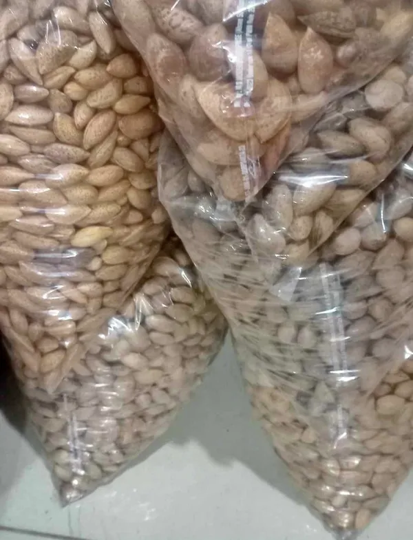 Raw_In-Shell_Almonds