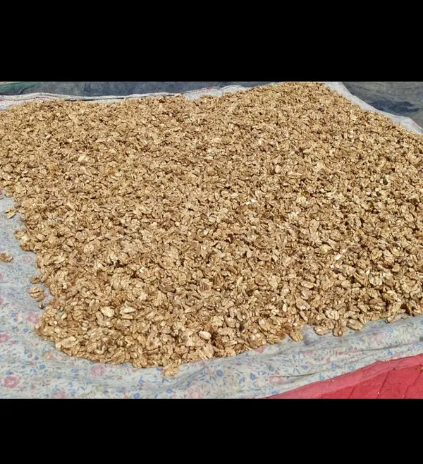 Walnut_Kernels