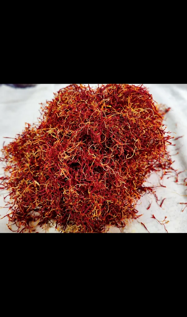 Saffron_Threads_Spice