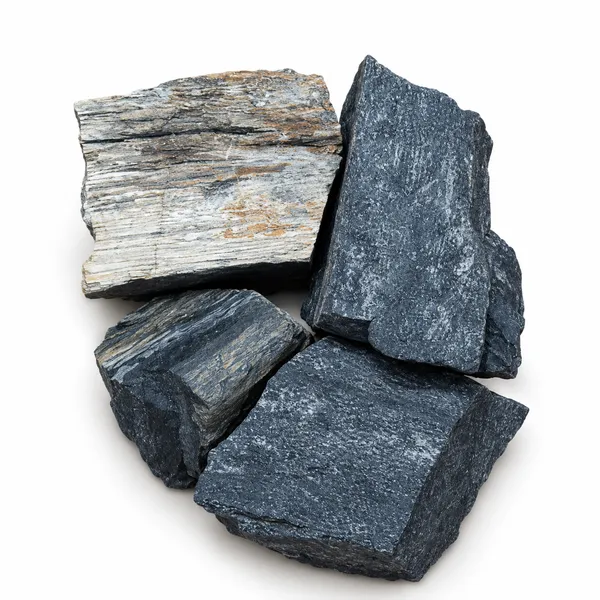 Petrified_Wood_Raw_Stone