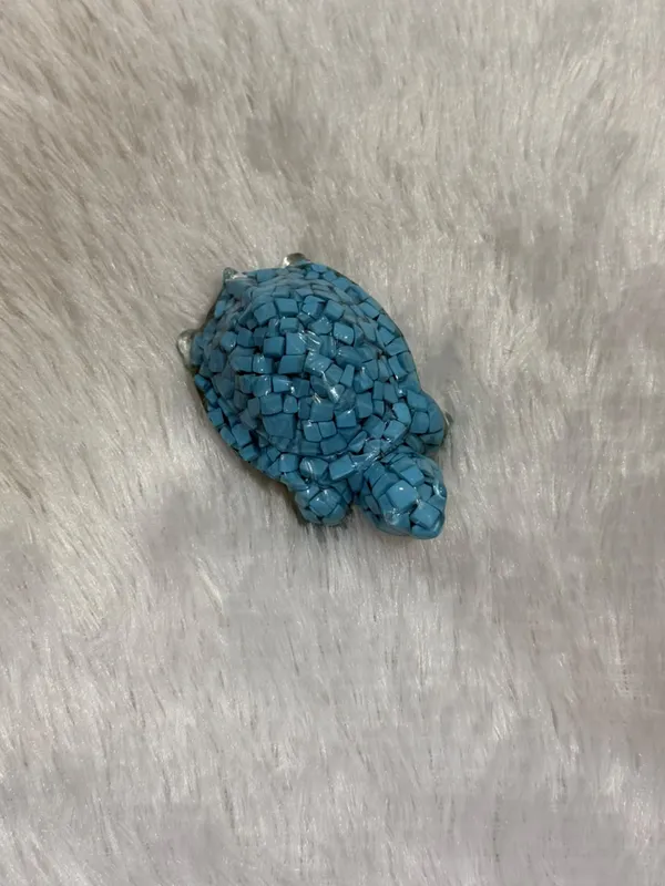 Turquoise_Turtle