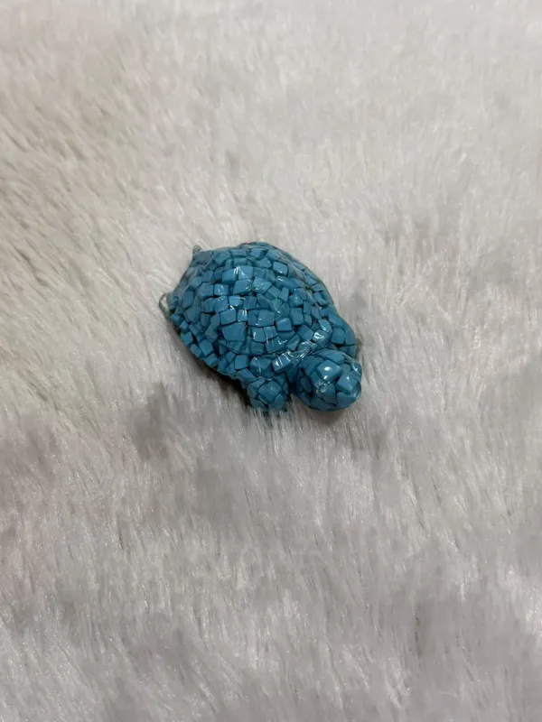 Turquoise_Turtle