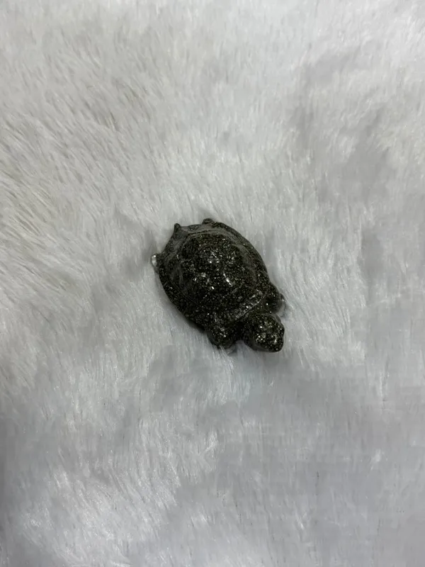 Pyrite_Turtle