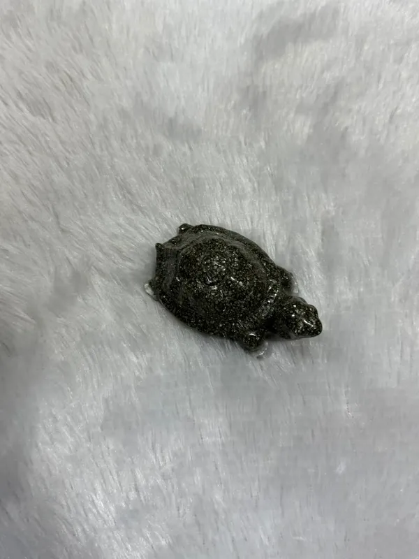 Pyrite_Turtle