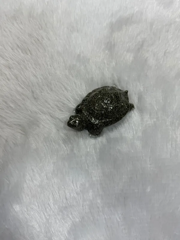 Pyrite_Turtle