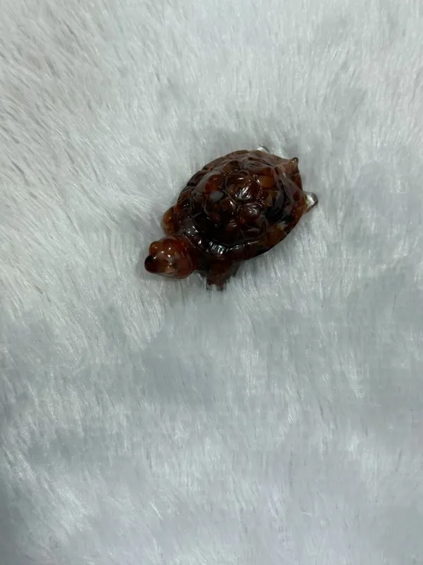 Red_Jasper_Turtle