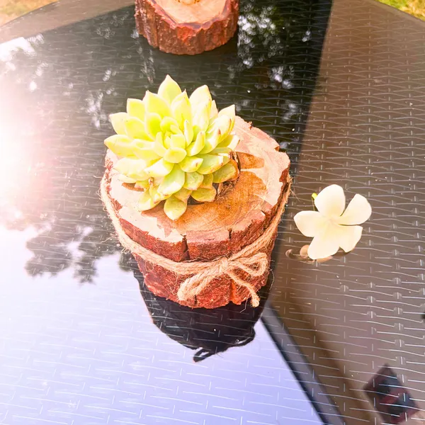 The_Timber_Twig_Rustic_Wooden_Planter