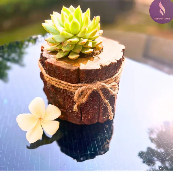 The_Timber_Twig_Rustic_Wooden_Planter