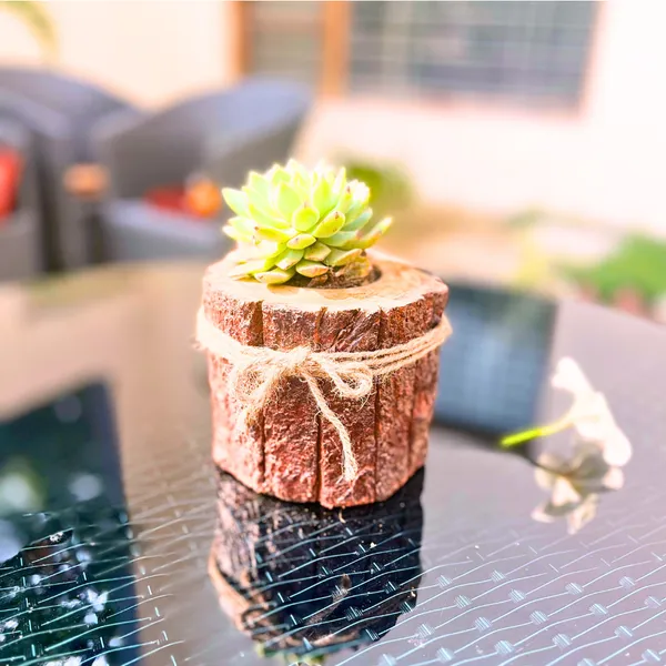 The_Timber_Twig_Rustic_Wooden_Planter
