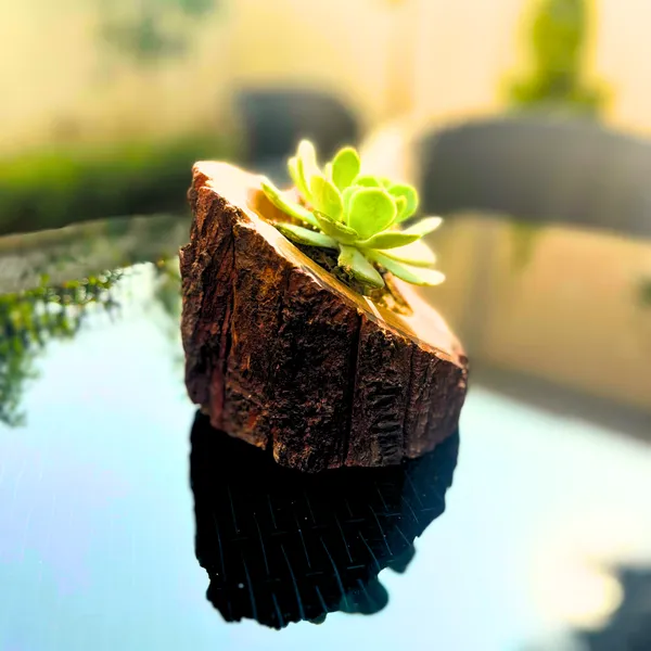 The_Angled_Grove_Rustic_Planter