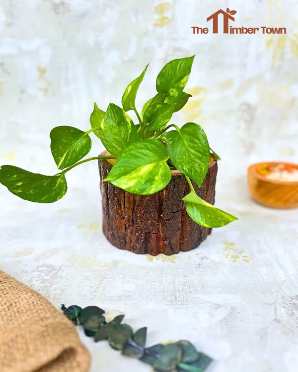 Wood_Rustic_Small_Planter